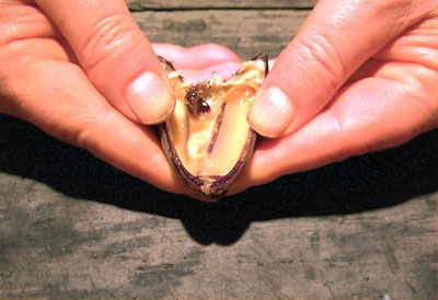  - Jannis Kounellis - Museo Nacional de Artes Visuales