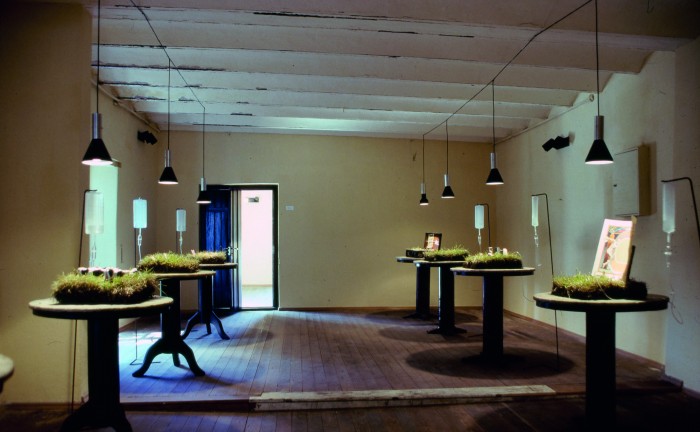 Made in Uruguay, 1990-91<br>Arboretum Lussich 1991 - Mario Sagradini - Vademecum (con la gentil participación de Lucía y Mario) - Museo Nacional de Artes Visuales