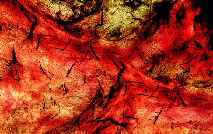  - Julio Testoni - Piel de tambor - Museo Nacional de Artes Visuales