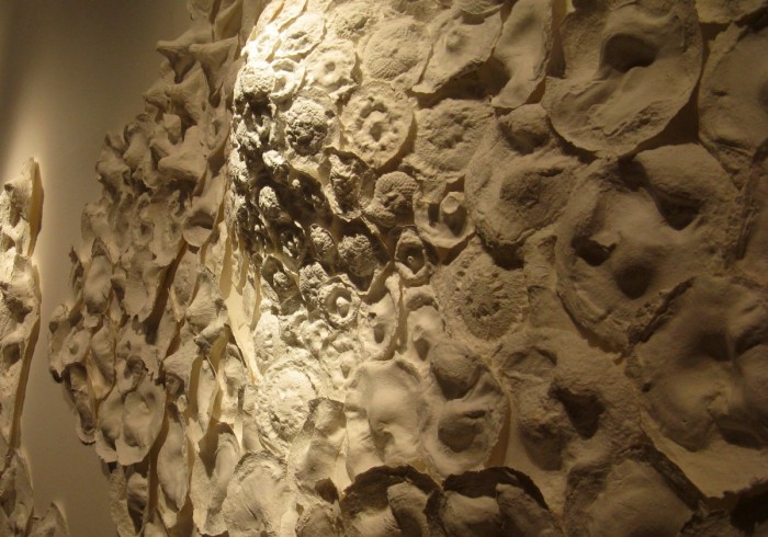 Rimer Cardillo: del Río de la Plata al valle del río Hudson